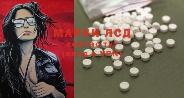 mdpv Новозыбков