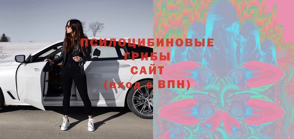 ГАЛЛЮЦИНОГЕННЫЕ ГРИБЫ Вуктыл
