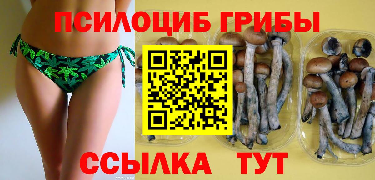 Галлюциногенные грибы Psilocybine cubensis  Вход с VPN  Петровск 