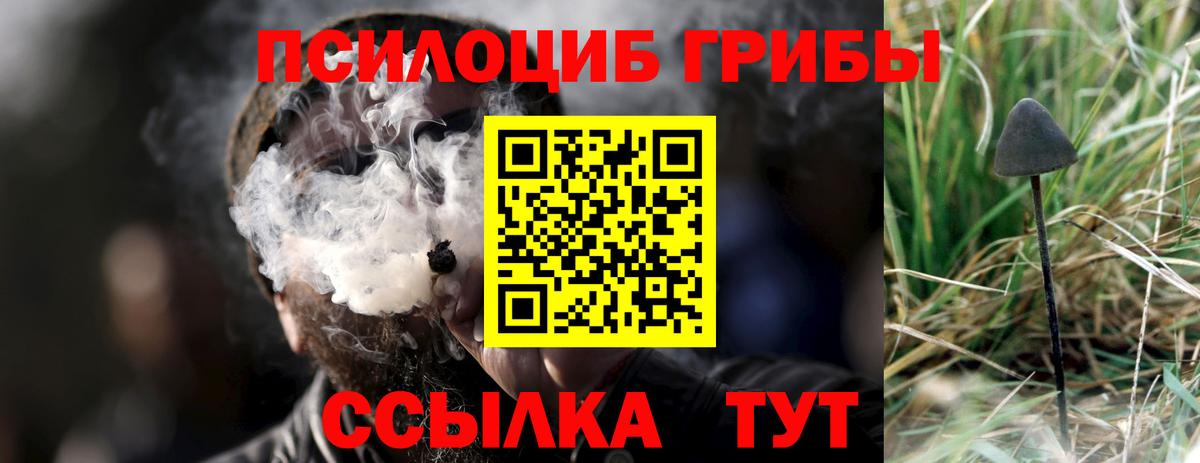 Галлюциногенные грибы Magic Shrooms Петровск